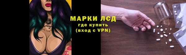 спиды Надым