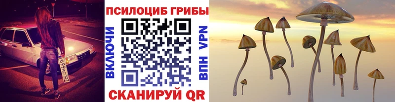 мориарти формула  Мантурово  Псилоцибиновые грибы GOLDEN TEACHER 